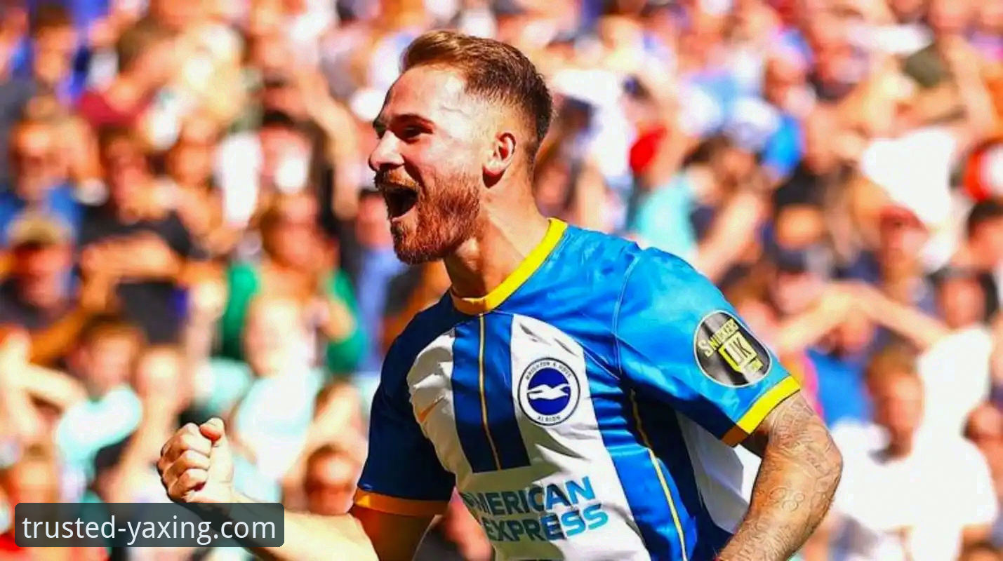 资深用户大鹏分享：从帕尼切利伤退看体育资讯获取心得