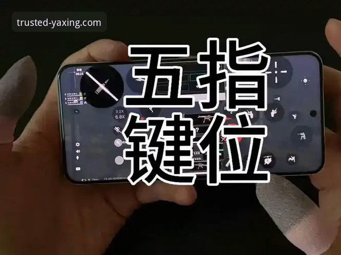 亚星娱乐iOS版高效上手指南：5个让你少走弯路的实用技巧